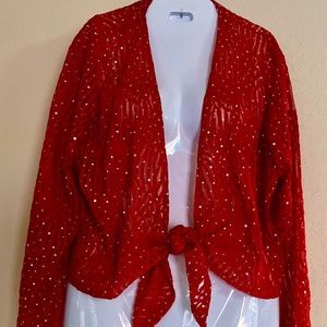 Brand New Beautiful sparkle tie up shirt!!